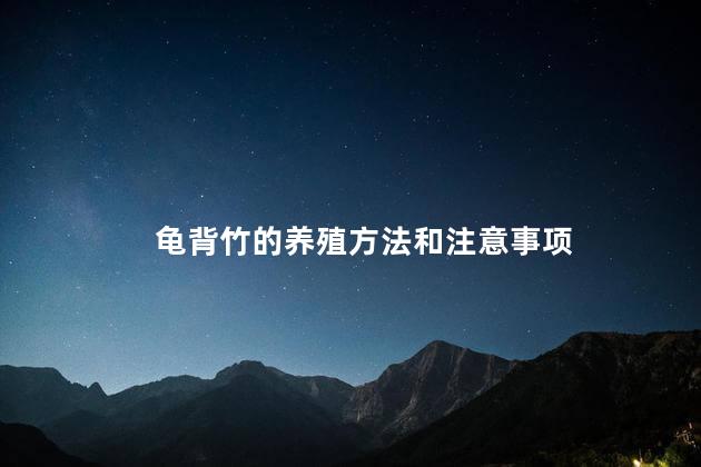 龟背竹的养殖方法和注意事项，龟背竹怎样养殖